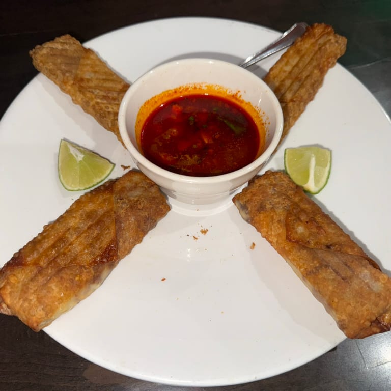 Delicious Birria Egg Rolls